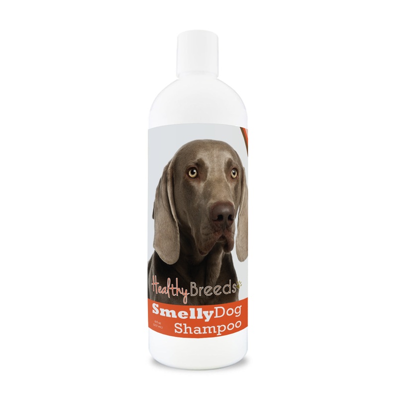 Weimaraner Smelly Dog Baking Soda Shampoo 8 oz