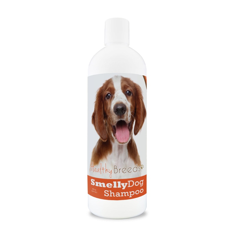 Welsh Springer Spaniel Smelly Dog Baking Soda Shampoo 8 oz