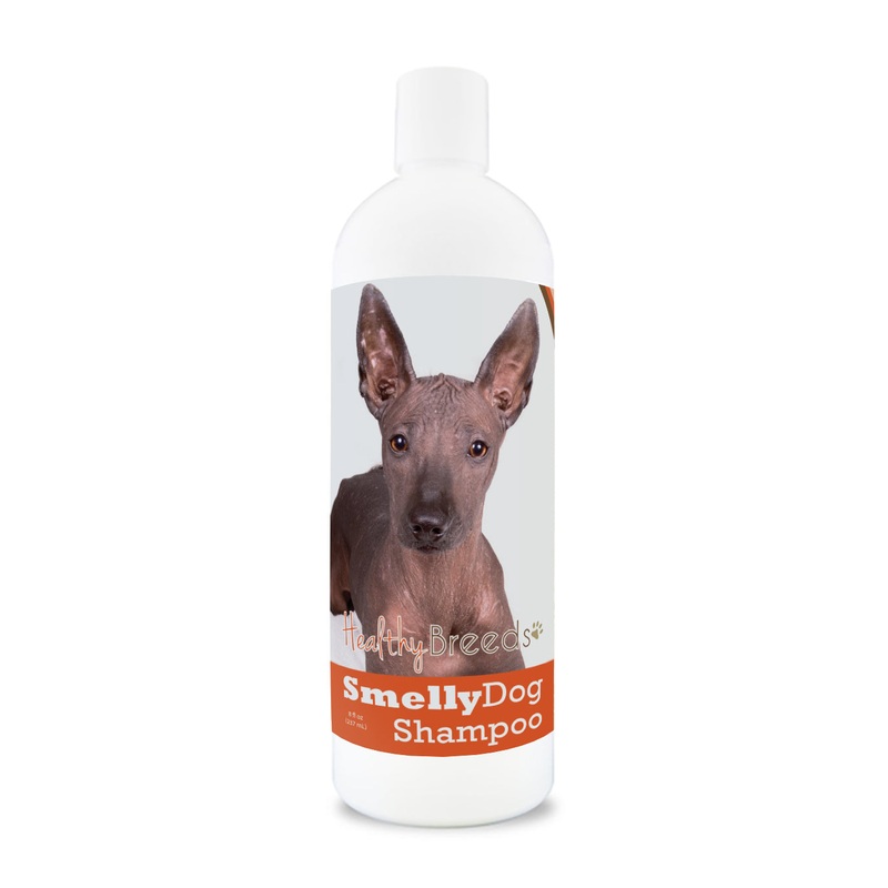 Xoloitzcuintli Smelly Dog Baking Soda Shampoo 8 oz