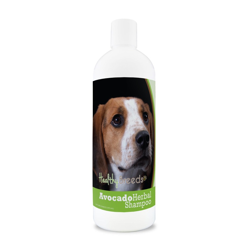 American English Coonhound Avocado Herbal Dog Shampoo 16 oz