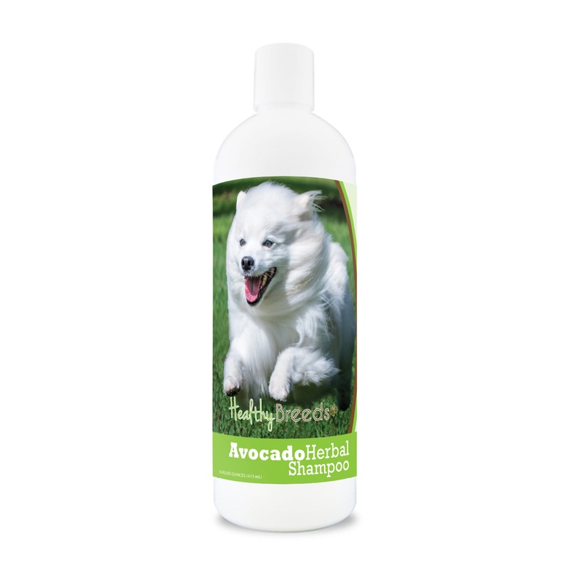 American Eskimo Dog Avocado Herbal Dog Shampoo 16 oz