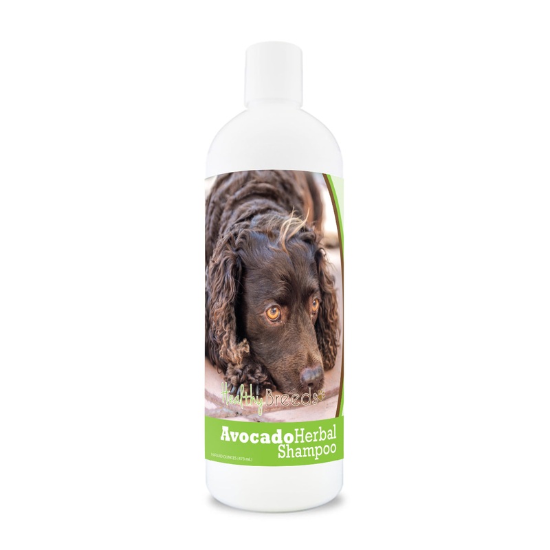 American Water Spaniel Avocado Herbal Dog Shampoo 16 oz