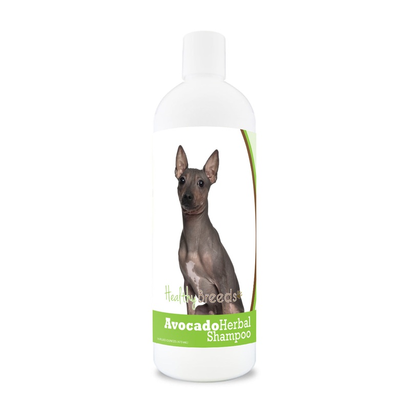 AmericanHairlessTerrier Avocado Herbal Dog Shampoo 16 oz