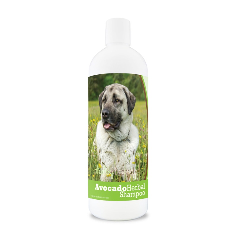 Anatolian Shepherd Dog Avocado Herbal Dog Shampoo 16 oz