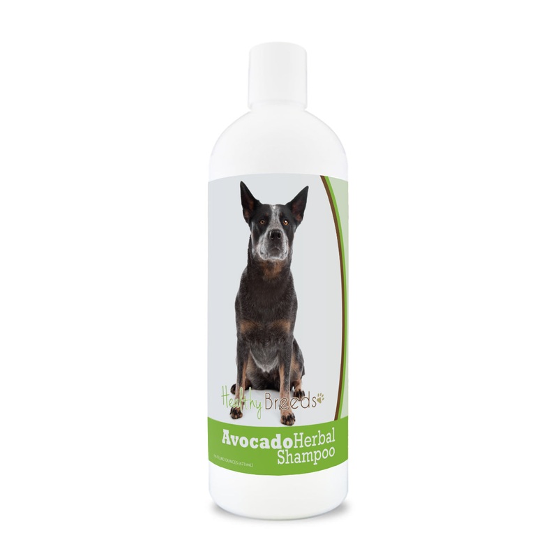 Australian Cattle Dog Avocado Herbal Dog Shampoo 16 oz