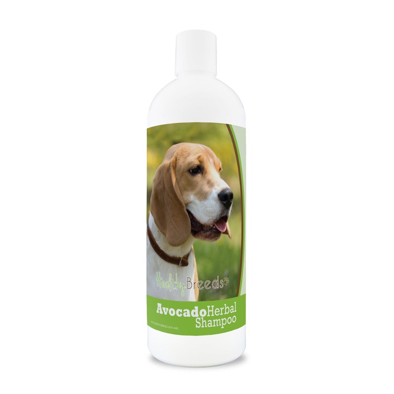 Beagle Avocado Herbal Dog Shampoo 16 oz