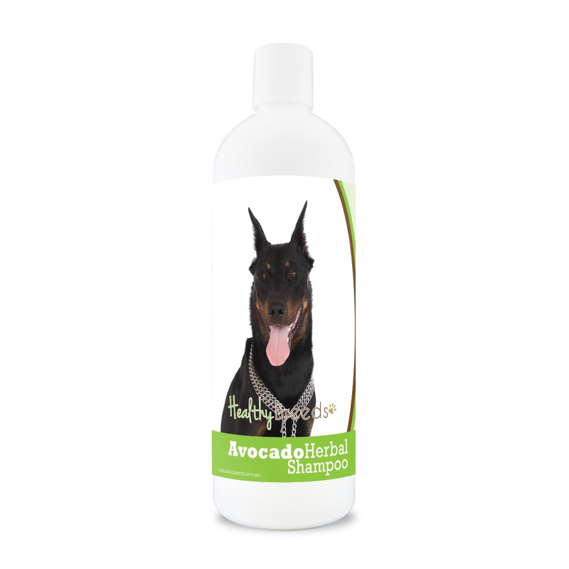 Beauceron Avocado Herbal Dog Shampoo 16 oz