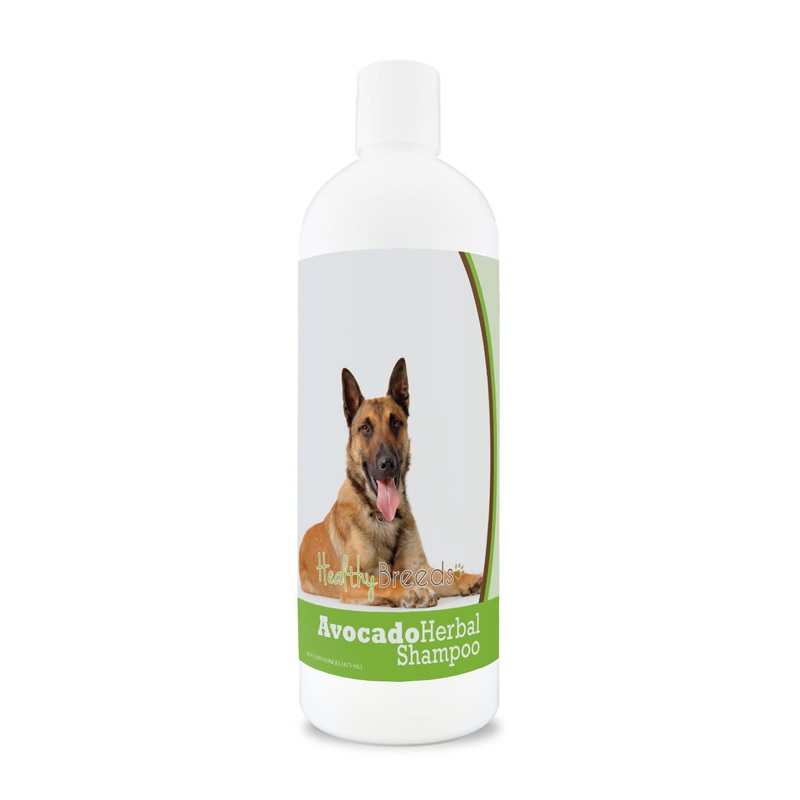 Belgian Malinois Avocado Herbal Dog Shampoo 16 oz