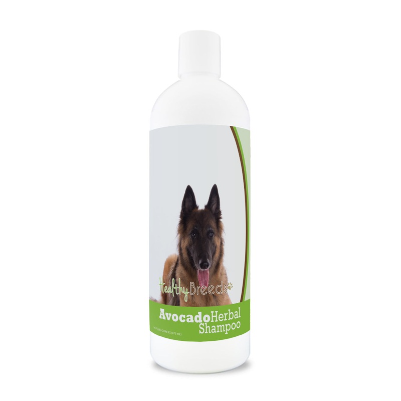 Belgian Tervuren Avocado Herbal Dog Shampoo 16 oz
