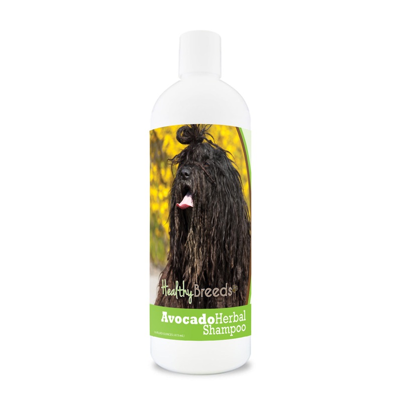 Bergamasco Avocado Herbal Dog Shampoo 16 oz