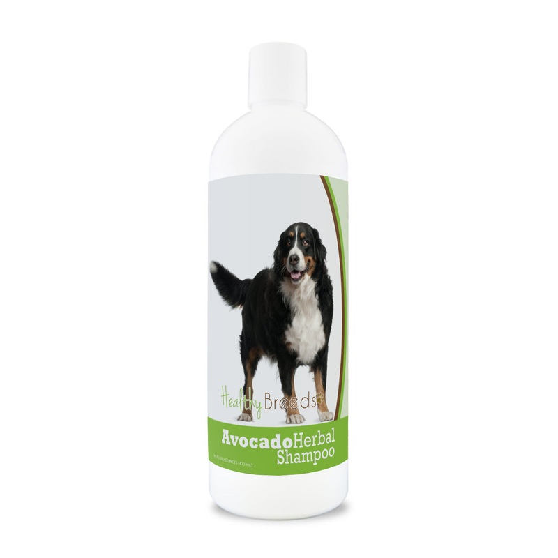 Bernese Mountain Dog Avocado Herbal Dog Shampoo 16 oz