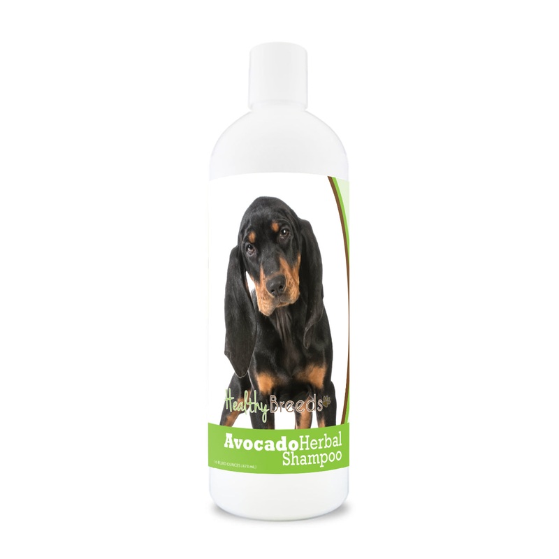 Black and Tan Coonhound Avocado Herbal Dog Shampoo 16 oz