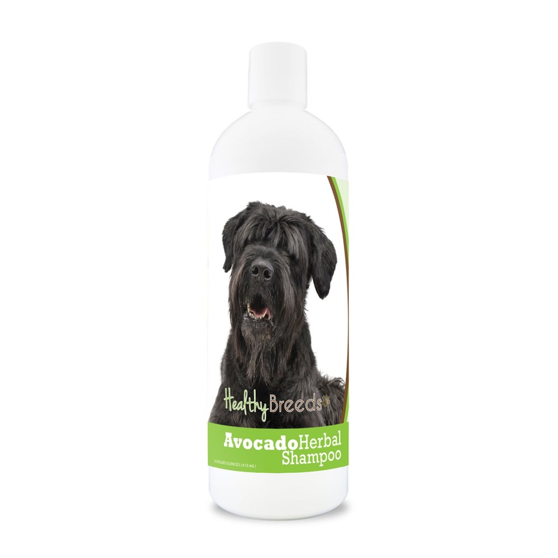 Black Russian Terrier Avocado Herbal Dog Shampoo 16 oz