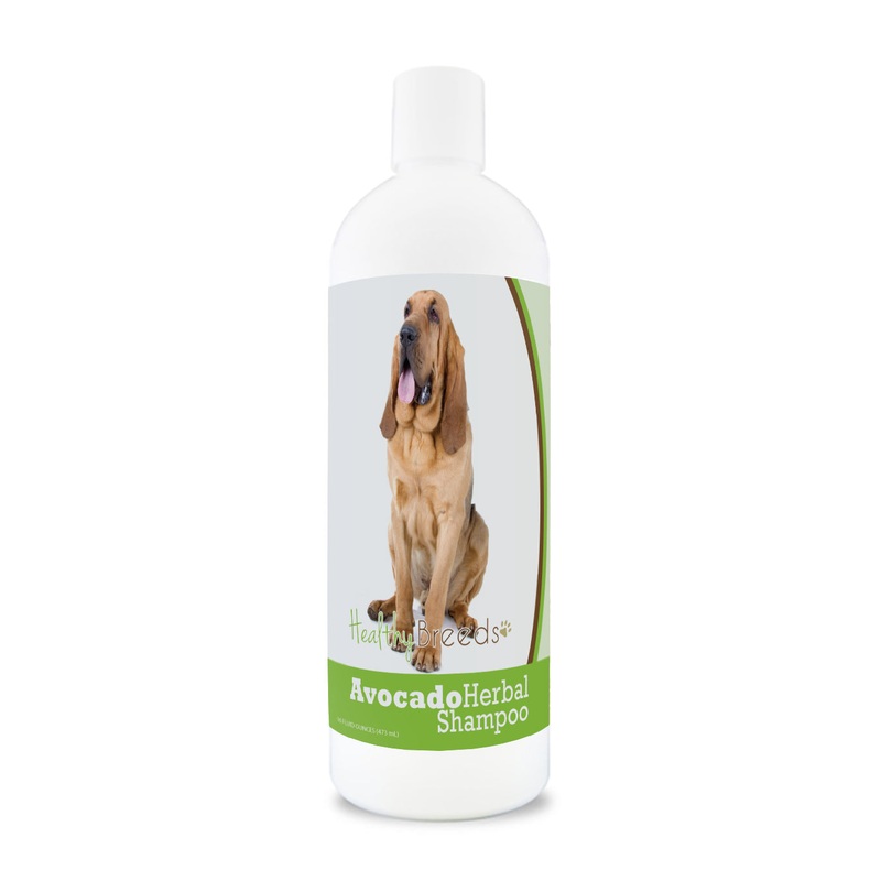 Bloodhound Avocado Herbal Dog Shampoo 16 oz