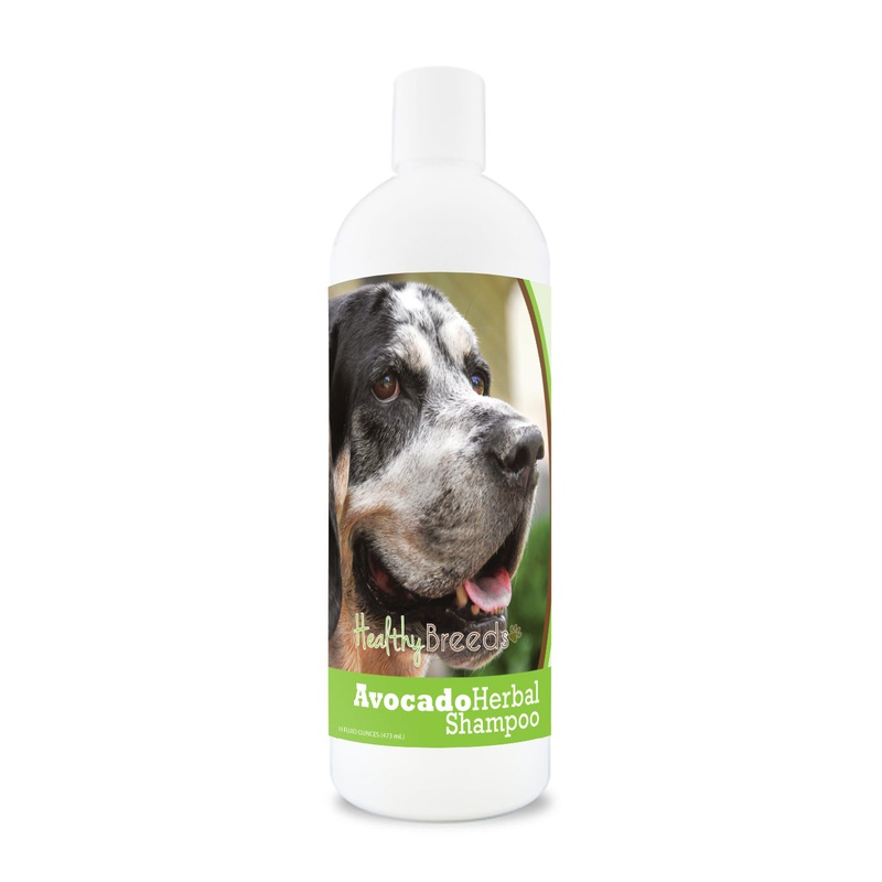Bluetick Coonhound Avocado Herbal Dog Shampoo 16 oz