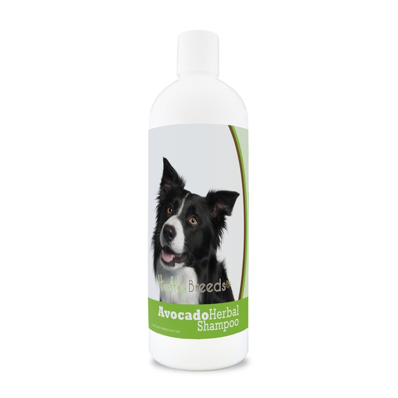 Border Collie Avocado Herbal Dog Shampoo 16 oz