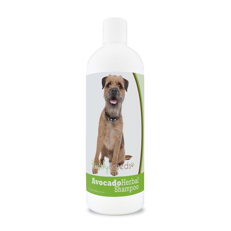 Border Terrier Avocado Herbal Dog Shampoo 16 oz
