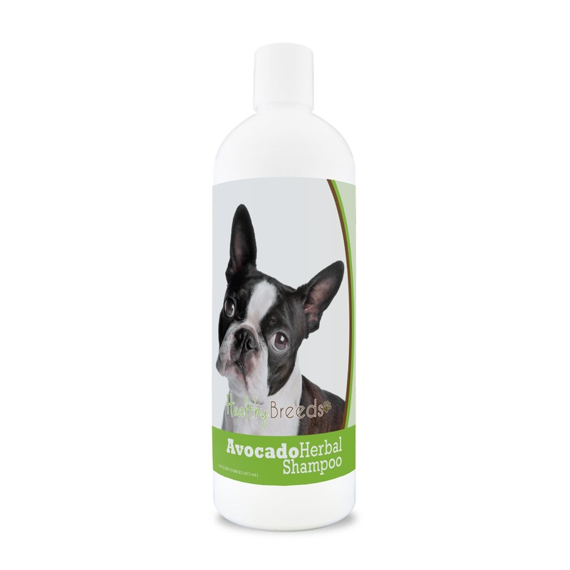 Boston Terrier Avocado Herbal Dog Shampoo 16 oz