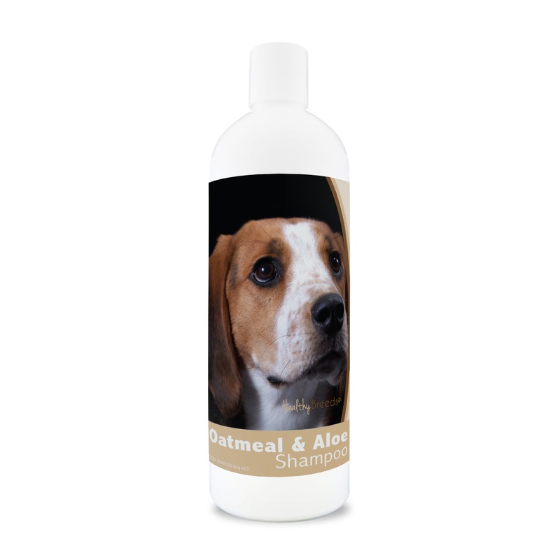 American English Coonhound Oatmeal Shampoo with Aloe 16 oz