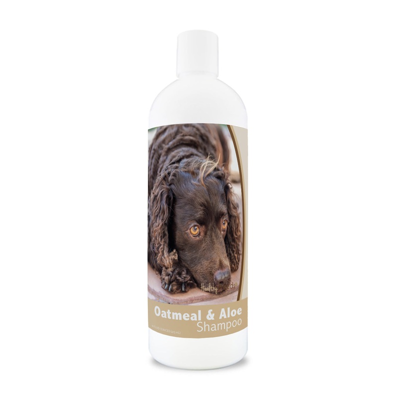 American Water Spaniel Oatmeal Shampoo with Aloe 16 oz