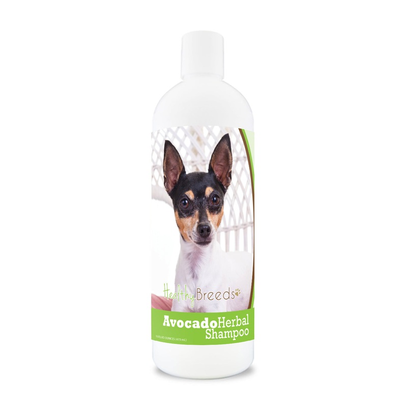 Toy Fox Terrier Avocado Herbal Dog Shampoo 16 oz