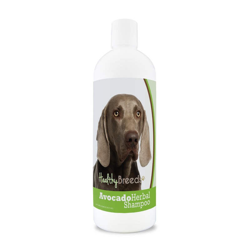 Weimaraner Avocado Herbal Dog Shampoo 16 oz