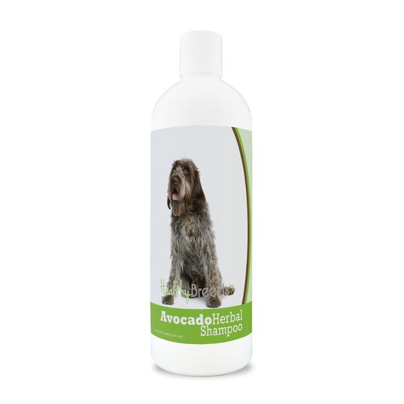 Wirehaired Pointing Griffon Avocado Herbal Dog Shampoo 16 oz