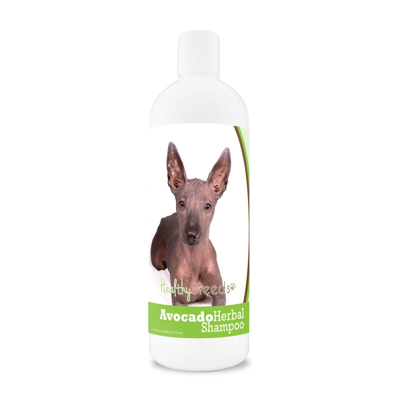 Xoloitzcuintli Avocado Herbal Dog Shampoo 16 oz