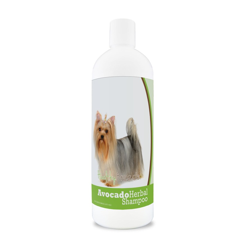 Yorkshire Terrier Avocado Herbal Dog Shampoo 16 oz