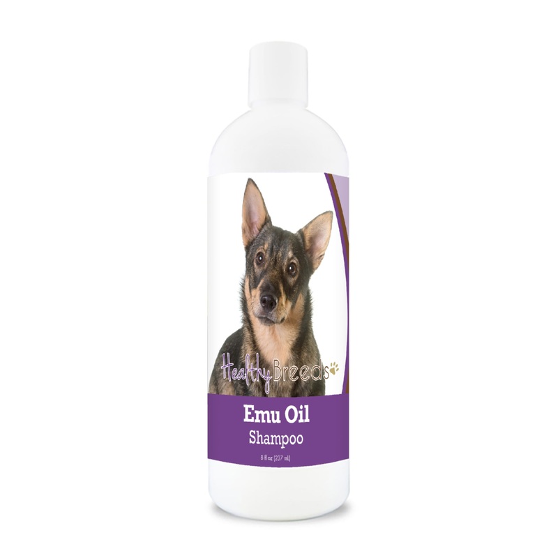 Swedish Vallhund Emu Oil Shampoo 8 oz