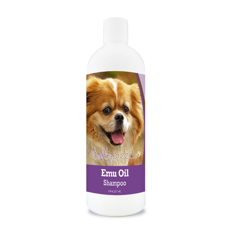 Tibetan Spaniel Emu Oil Shampoo 8 oz