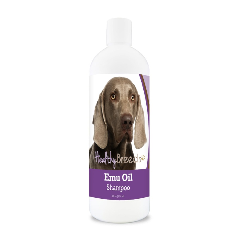 Weimaraner Emu Oil Shampoo 8 oz
