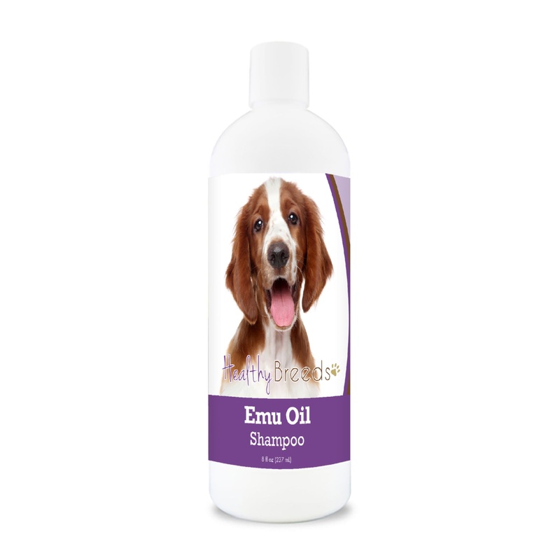 Welsh Springer Spaniel Emu Oil Shampoo 8 oz