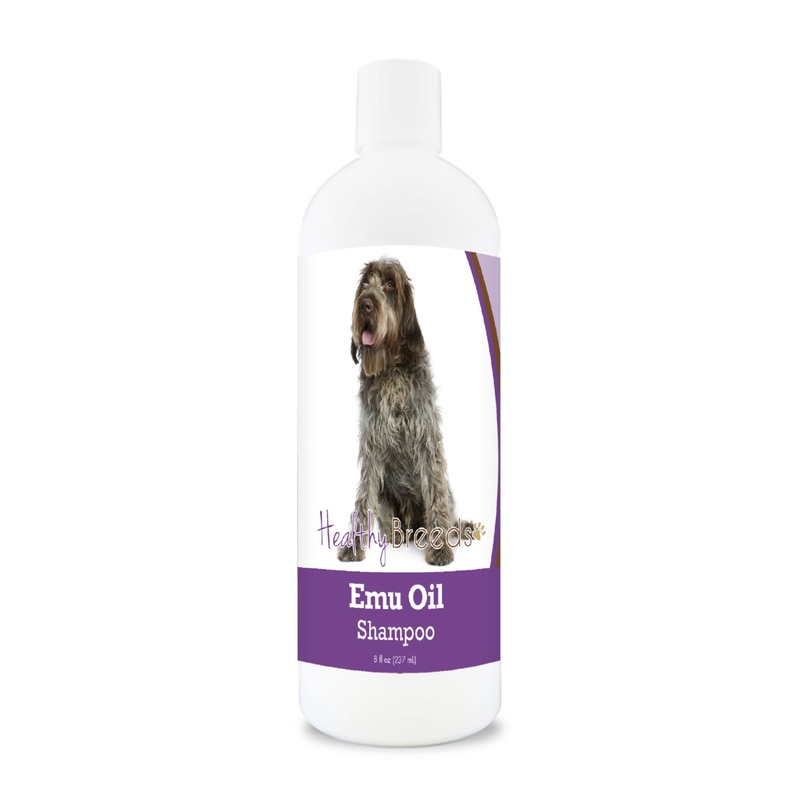 Wirehaired Pointing Griffon Emu Oil Shampoo 8 oz
