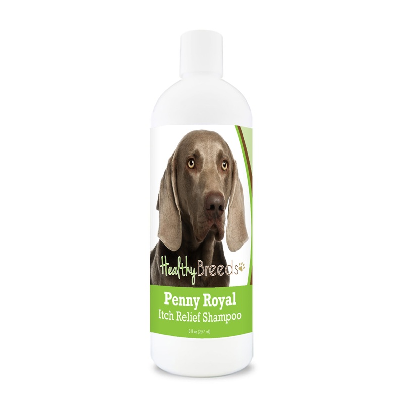 Weimaraner Penny Royal Itch Relief Shampoo 8 oz