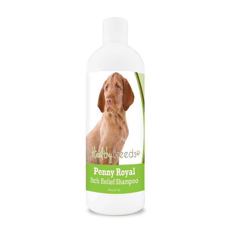 Wirehaired Vizsla Penny Royal Itch Relief Shampoo 8 oz