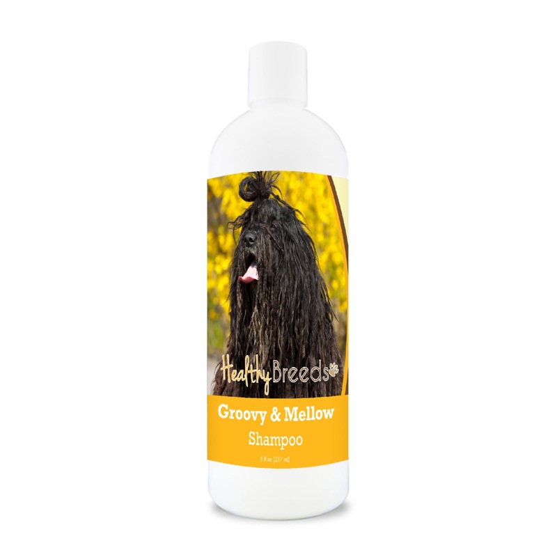 Bergamasco Groovy & Mellow Shampoo 8 oz