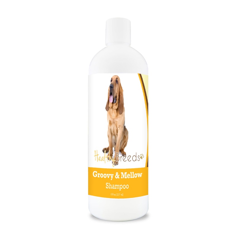 Bloodhound Groovy & Mellow Shampoo 8 oz