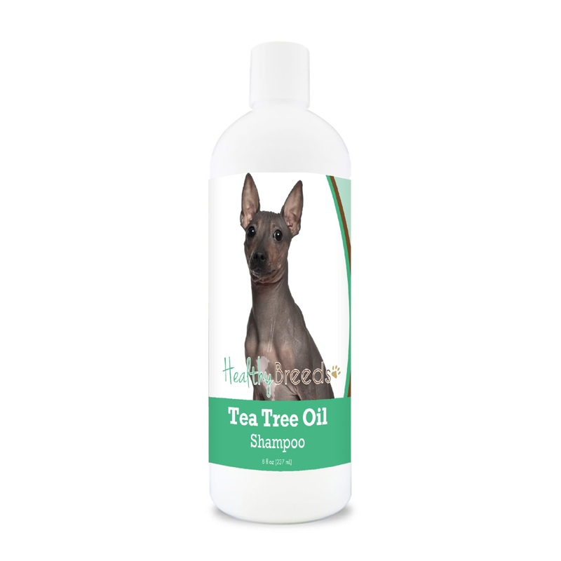 AmericanHairlessTerrier Tea Tree Oil Shampoo 8 oz