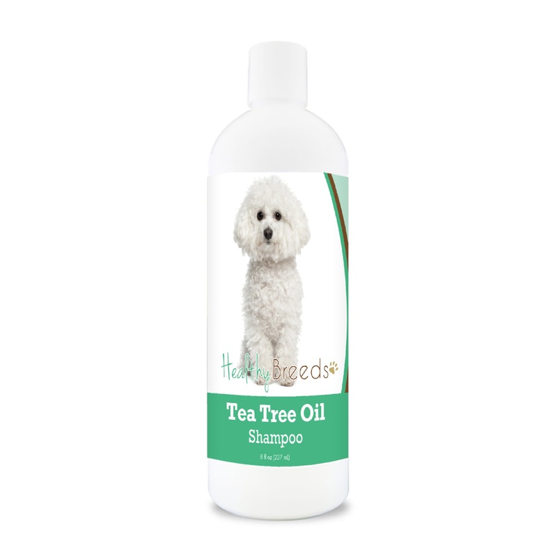 Bichon Frise Tea Tree Oil Shampoo 8 oz
