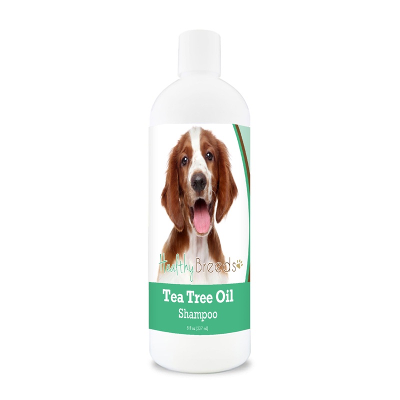 Welsh Springer Spaniel Tea Tree Oil Shampoo 8 oz