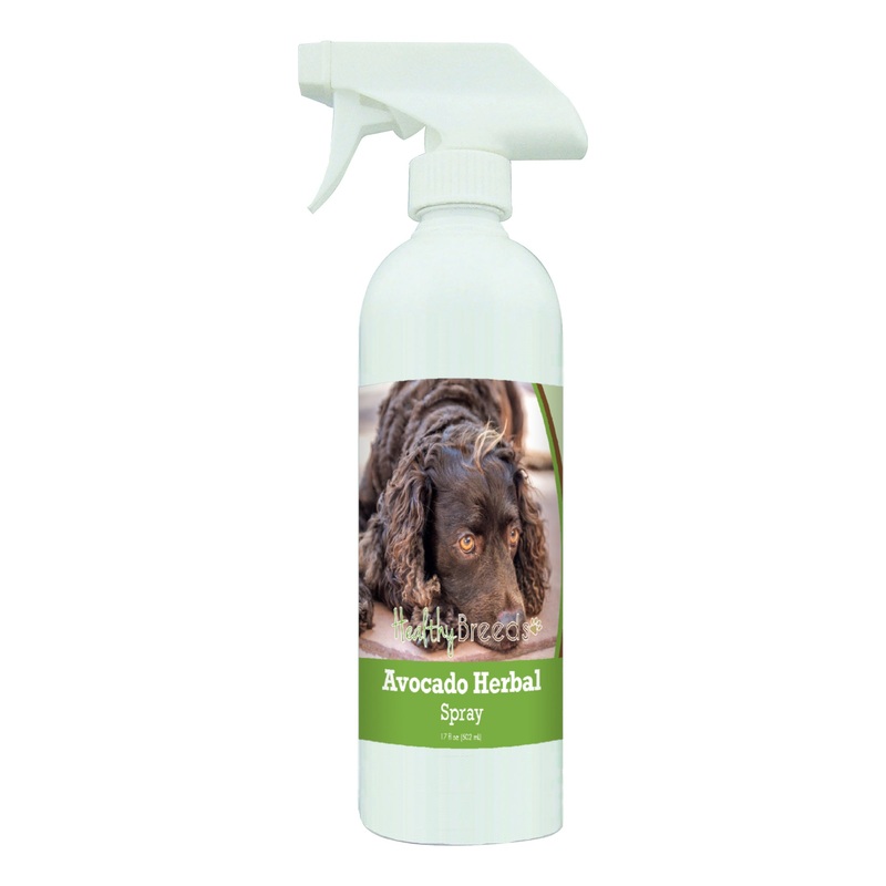 American Water Spaniel Avocado Herbal Spray 17 oz