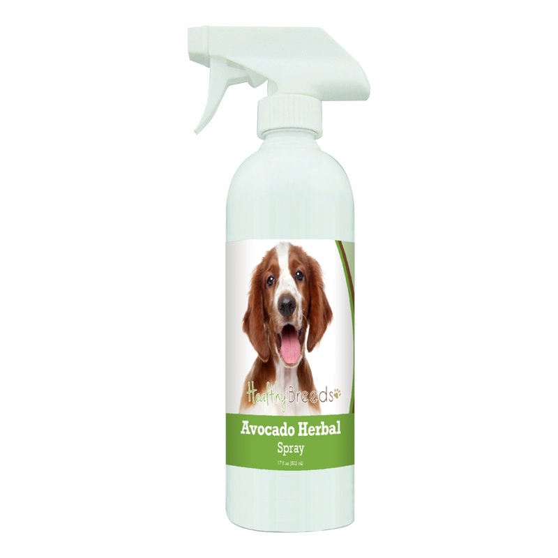 Welsh Springer Spaniel Avocado Herbal Spray 17 oz
