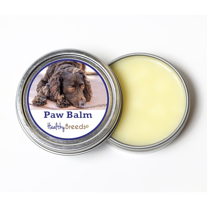 American Water Spaniel Dog Paw Balm 2 oz