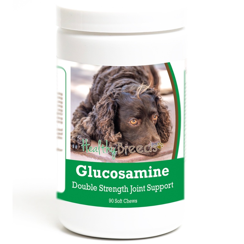 American Water Spaniel Glucosamine DS Plus MSM 90 Count