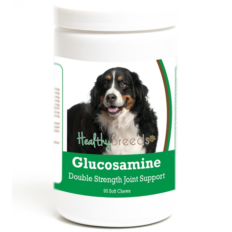 Bernese Mountain Dog Glucosamine DS Plus MSM 90 Count