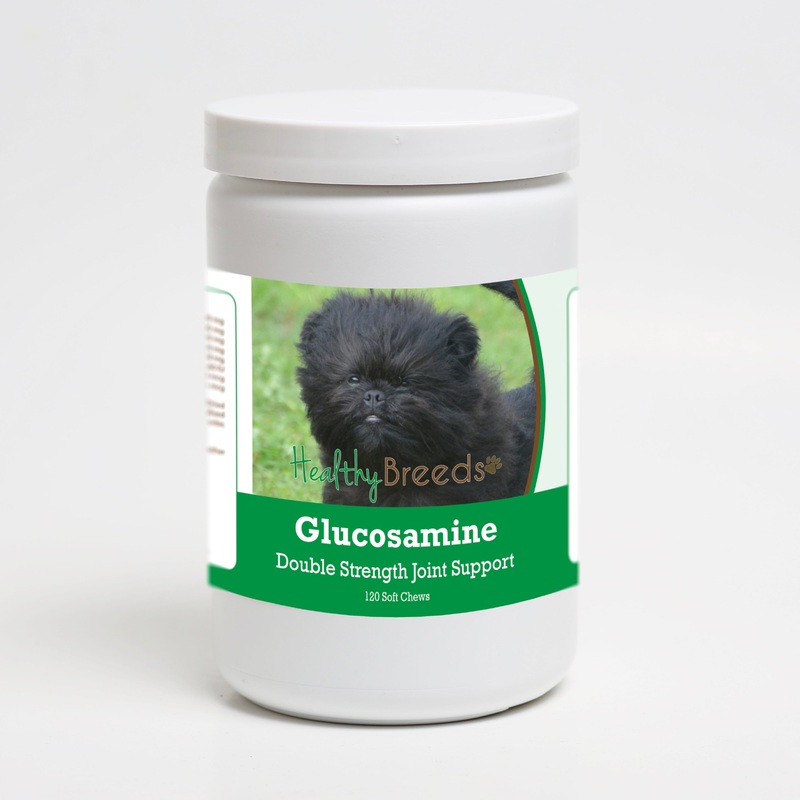 Affenpinscher Glucosamine DS Plus MSM 120 Count