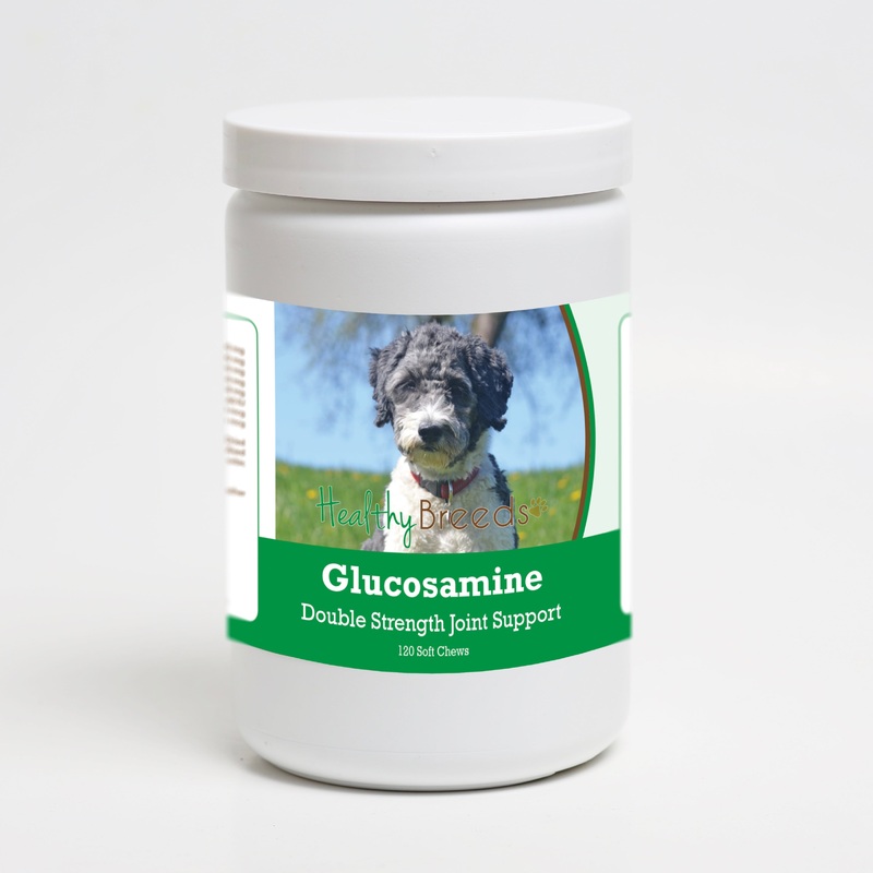 Aussiedoodle Glucosamine DS Plus MSM 120 Count