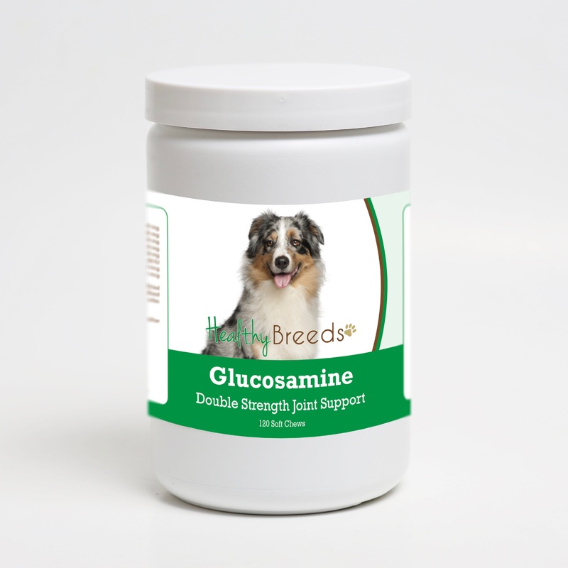 Australian Shepherd Glucosamine DS Plus MSM 120 Count