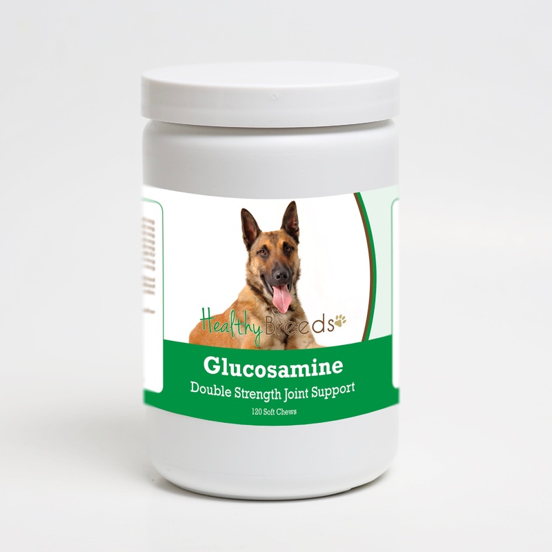 Belgian Malinois Glucosamine DS Plus MSM 120 Count